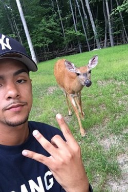 hijabby:  buzzfeed:   Kelvin Peña Is Best Friends With A Powdered-Doughnut-Loving Deer Named Money However, after some backlash, Kelvin decided to start feeding Money and the rest of the deer fam some healthier snacks. “It means a lot that he feels