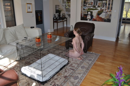 academyfordifficultgirls:  “Six months ago, I couldn’t be bothered to be home when my husband got off work.  Now this is how I welcome him home.“He’s very kind, and only makes me sleep in the cage when I’ve been naughty.  He keeps the cage