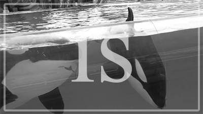 ketotheorca:  “Let them retire!”[x] [y] [z] 