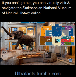 ultrafacts:Washington D.C.’s National Museum