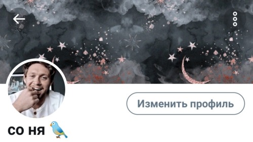 Niall Horan Twitter Packs 🌙