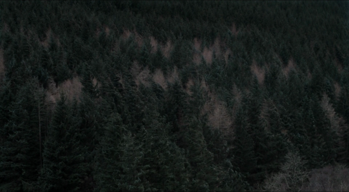 365filmsbyauroranocte:   Under the Skin (Jonathan Glazer, 2013)  