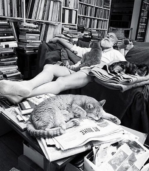 Libraries of the Literati #45:Edward Gorey, lounging amid books and cats.