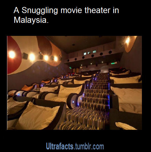 whitewhoreneedsmoreblackcocks:  ultrafacts:  Coolest movie theaters from around the world. Want more posts like this? Follow Ultrafacts!  Now on my “bucket list” to visit each theater and enjoy a movie night there. 