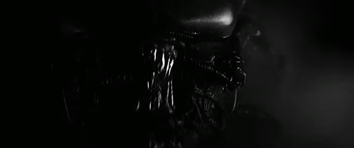 elpaladinmastomate:  Alien [1979] 