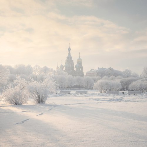 northwindnovoross: St. Petersburg: Champ de Mars, the Savior on Spilled Blood