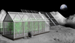 sagansense:  NASA’s Next Frontier: Growing Plants On The Moon A small team at NASA’s Ames Research Center has set out to “boldly grow where no man has grown before” – and they’re doing it with the help of thousands of children, a robot, and
