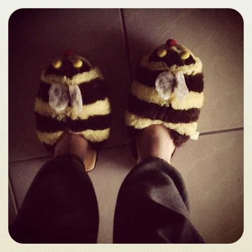 Porn Bumblebee slippers! #cold #florida #slippers photos