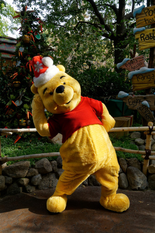 winnie the pooh