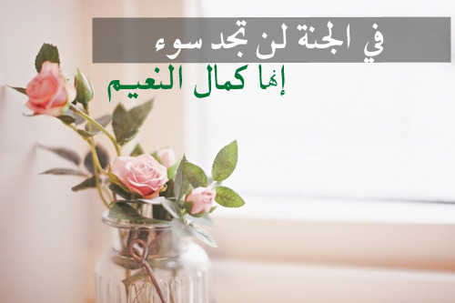 jnnah:  الجنـة تستحقكم جميعا .. فلا تبخلوا علي أنفسكم بها ..  أعملوا الصالحات واجتنبوا المحرمات السيئات .. الجنة يوماً ما يلتقي بهـا كل الاحباب