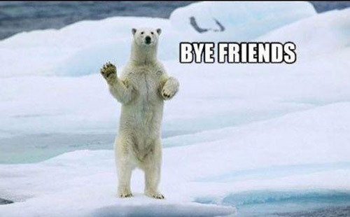 tdevil:  diggym:  iraffiruse:  Frozach Submitted  Awwww .  Helpful Polar Bear is