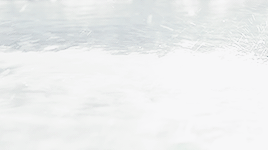 The Dead Are Gone, Clarke. The Living Are Hungry.