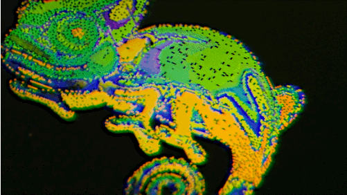 npr:  kqedscience:    Chameleons don’t change color to match their environment;