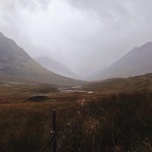 beeslikehoney:  by amy_merrick http://ift.tt/1uJuGa7 