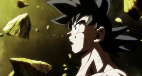 “Farewell, Goku! Until We Meet Again!”