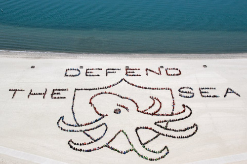 nubbsgalore:   students from hong kong, san francisco and san diego are raising awareness about the 