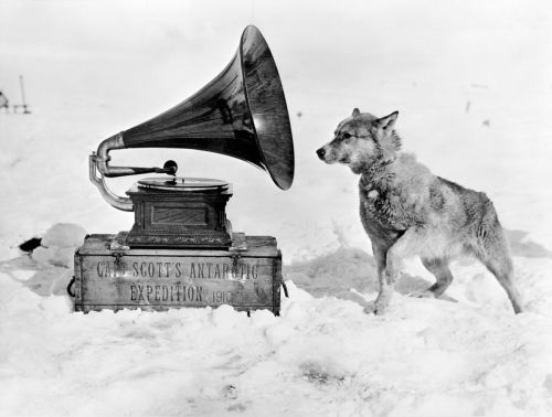 madelgard: 1911 Terra Nova Expedition to AntarcticaOooh never seen such a sensitive printing of th