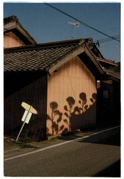 ellanmwebb2: Photographs from my residency in Itoshima-shi, Fukuoka : Ella Webb 
