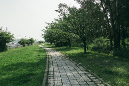 kuroyuki:  150429_006_IMG_0853 by oda.shinsuke on Flickr.