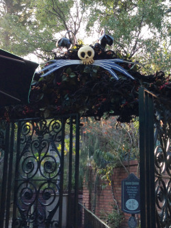 mmissdisney:  Haunted Mansion Holiday [blog]