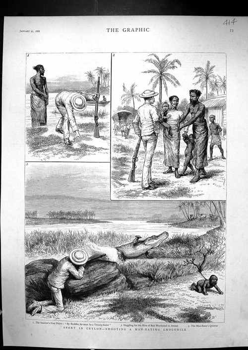 Unfriendly reminder that White people used Black babies to bait alligators 