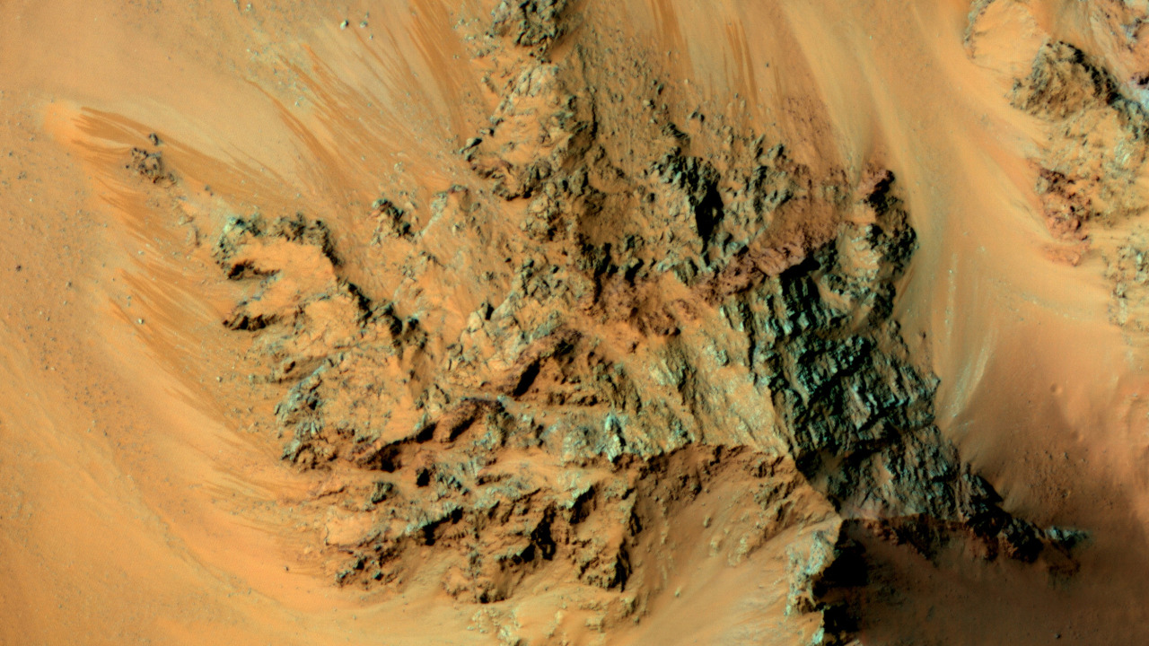 npr:  skunkbear:  The dark streaks you can see in these photos appear in sunny spots