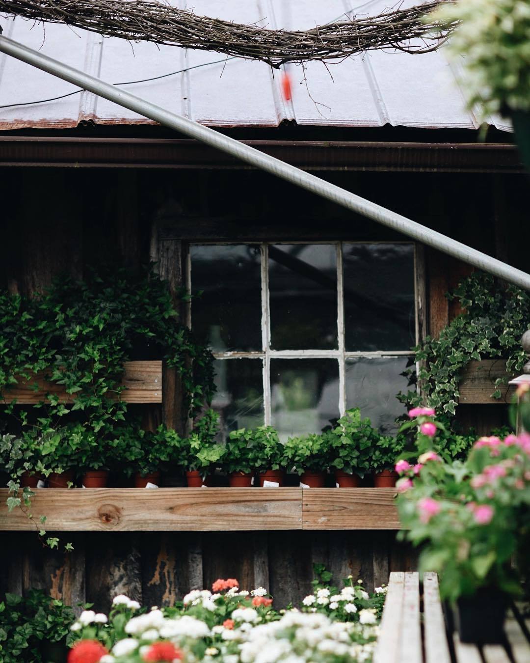 delta-breezes:  Hannah Queen