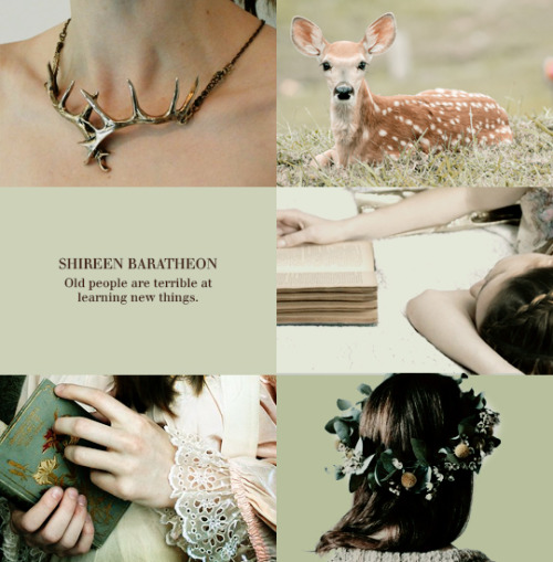 Princesses Of Westeros During The War Of The Five Kings + Queens