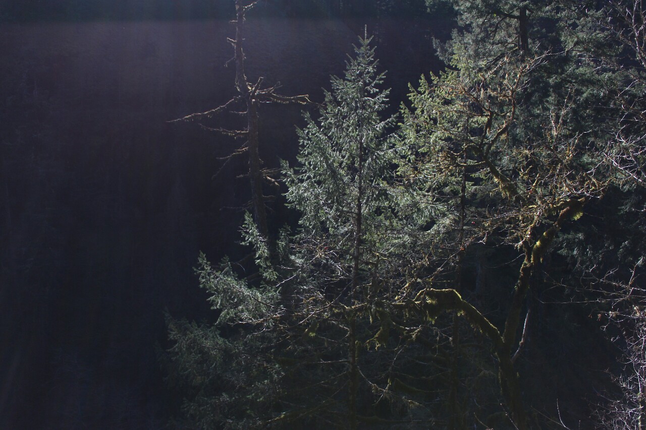 overnitereligion:  eagle creek/punchbowl falls, oregon