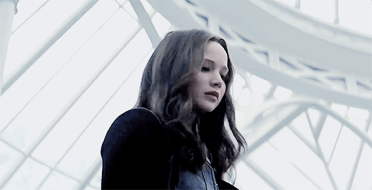 Hunger Games Kitty GIF - Hunger Games Kitty Wrath - Discover & Share GIFs
