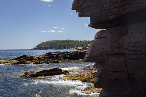 Scenes from Acadia National Park