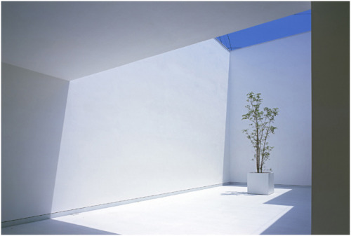 atelier688: architags:  Takuro Yamamoto Achitects. White Cave House. Japan. photos: Takuro Yamamoto 