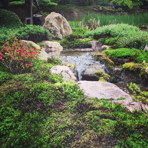 @Liebenau Zen monastery, Japanese garden seminar 05/2019 bit.ly/2LtZhIf