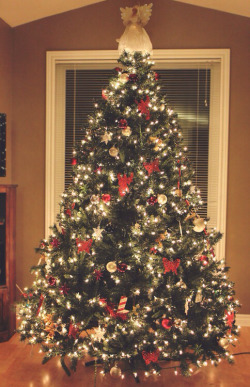 joanafilipaa19:  🎄 on We Heart It - http://weheartit.com/entry/151272600