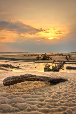 breathtakingdestinations:   Driftwood Beach