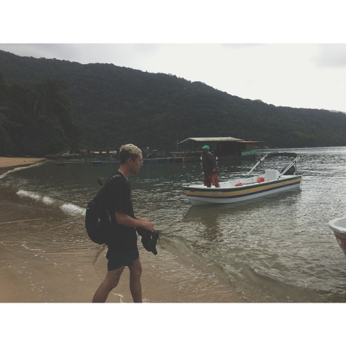 (at Praia Preta - Abraao - Ilha Grande)