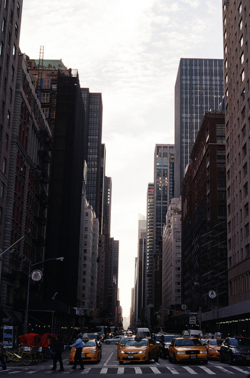 land-city:  Untitled by sarah+evers | Flickr   