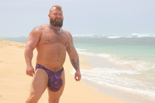 grunnido: mcmeathead2: Hanging out on the beach in my speedos by @cut2medesigns.  Definitely go