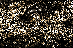 elvenking:Now I see fire, inside the mountain I see fire, burning the trees I see fire, hollowing so