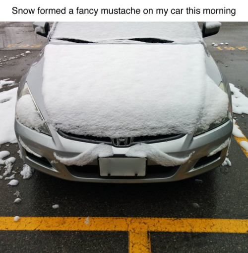 tastefullyoffensive:  (photo by shellderp) 