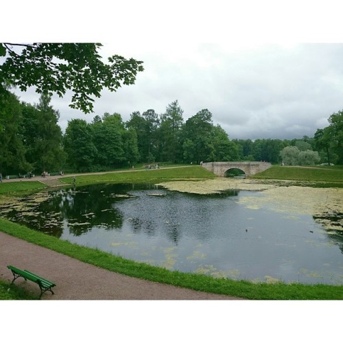 #Carp #pond & Carp #bridge  #Palace #park, #Gatchina, #Russia   #travel 🌍 #art 🎨 #monument #architecture #history #castle #Гатчина #Россия #история #искусство #архитектура #парк #мост #пруд