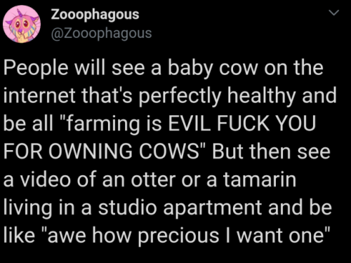 poorvegandyke: Maybe…. both are bad (Also healthy cow owned to be eaten or have milk stolen is an o