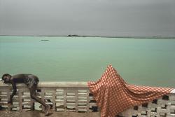 manufactoriel:  The Niger river at Mopti, Mali 1988 by Harry Gruyaert