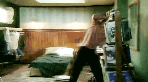 edanzgarden:  EXPECTATION vs REALITY: A cute puppy scared of hurting a shelf. 
