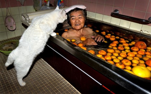 kinh:  thecatdogblog:  Nine years ago, Japanese photographer Miyoko Ihara began snapping pictures of the relationship between her grandmother and her odd-eyed white cat. Miyoko’s grandma Misao found the abandoned cat in a shed on her land and the pair