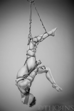 erufu-tiedtoart:  Free floating.   Photo/Rigging: @tho4ns (Rope courtesy of Mocojute) 