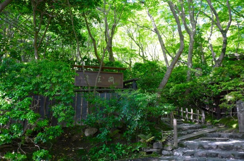 jasmine7031: Giou-ji Temple　（祇王寺） moss gardenwww.giouji.or.jp/enAfter a rainfall, when the ga