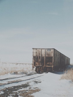 discountable:  (Boxcar by Shantel) Nature/Vintage