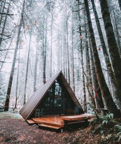 Folklifestyle:  Woods, House  Https://S-Media-Cache-Ak0.Pinimg.com/Originals/Cd/F0/3A/Cdf03A16A4Dfc80567447E051B1189Fa.jpg