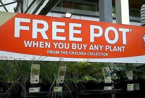 lol   Thats one “crack” marketing team.  Pun intended.  ^_^